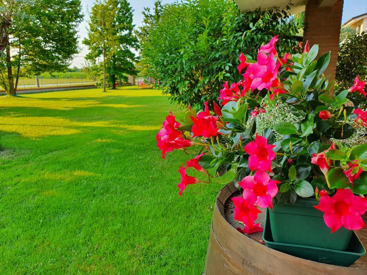 B&B Villalta Treviso Luaran gambar